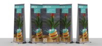 Rollup-display-double.png