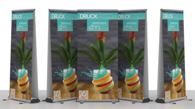 RollUp Display "Double Outdoor"